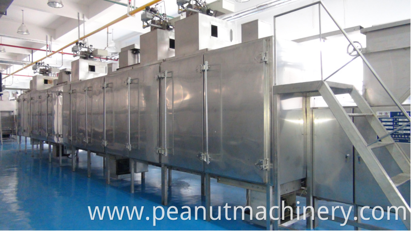 continuous nuts dryer